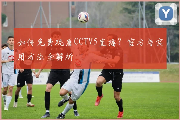 如何免费观看CCTV5直播？官方与实用方法全解析