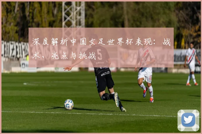 深度解析中国女足世界杯表现：战术、亮点与挑战