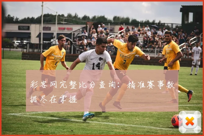 彩客网完整比分查询：精准赛事数据尽在掌握
