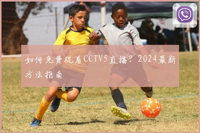 如何免费观看CCTV5直播？2024最新方法指南