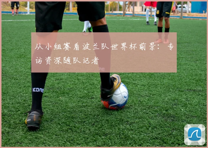 从小组赛看波兰队世界杯前景：专访资深随队记者