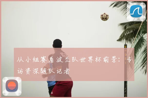 从小组赛看波兰队世界杯前景：专访资深随队记者