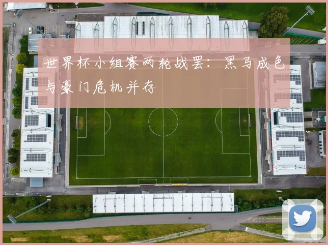 世界杯小组赛两轮战罢：黑马成色与豪门危机并存